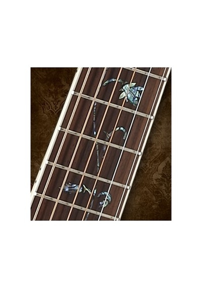Cort Earth1200nat Akustik Gitar, Masif Ladin Kapak, Natürel