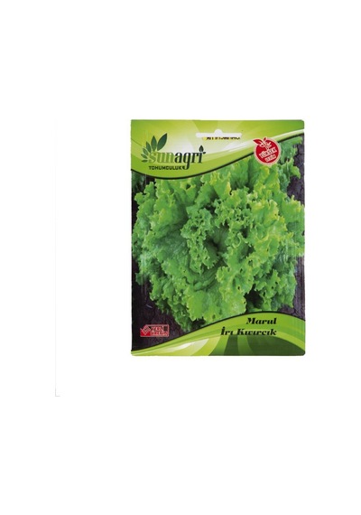 Sunagri İri Kıvırcık Marul Tohumu
