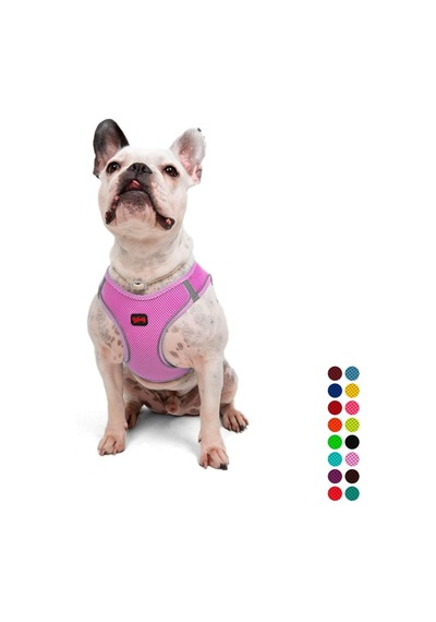 Tailpetz Air-mesh Küçük Ve Orta Irk Kedi Köpek Göğüs Tasması - Yumuşak, Nefes Alabilir, Dayanıklı Lila, L Sku: Zeusb0chk4hcnv Açık Bej - Bej Tailpetz Air-mesh Küçük Ve Orta Irk Kedi Köpek Göğüs Tasması - Yumuşak, Nefes Alabilir, Dayanıklı Lila, L Sku: Zeusb0chk4hcnv Açık Bej - Bej