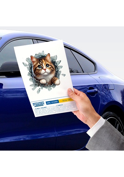 Fulcar Stray Araç Stickerı Çok Renkli
