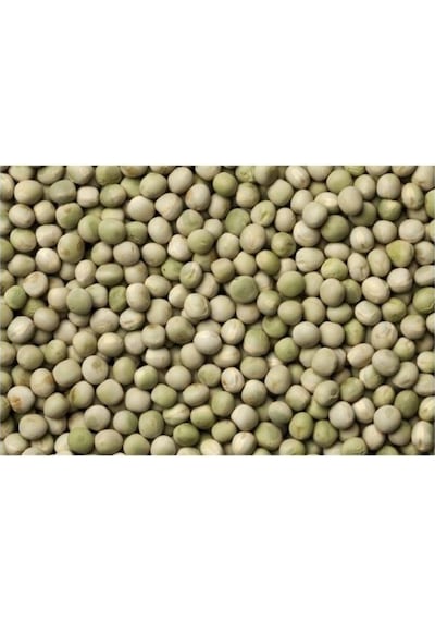 Yem Bezelyesi Tohumu Külür 100 GR N115042