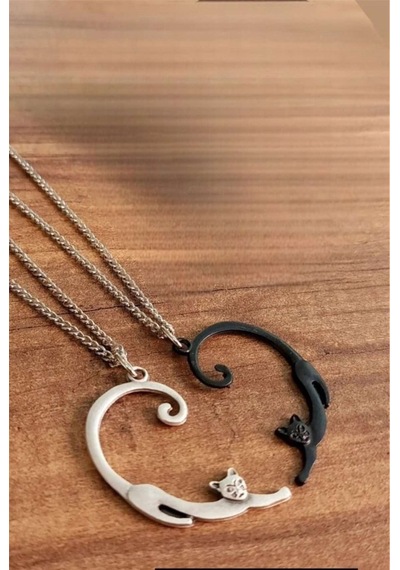 Best Friends Yin Yang Kedili Kolye Kalp Sevgili Çift İkili Arkada Çok REnkli