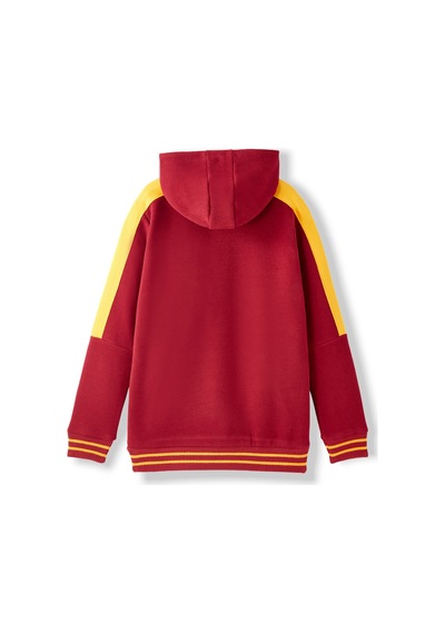 Gsstore Galatasaray Çocuk Hoodie C252065 Bordo