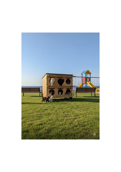 Kedi Evi Kedi Yuvası Kedi Barınağı Özel Üretim 6 Kedilik 2 Katlı 6 Bölmeli Su Ve Isı Yalıtımlı