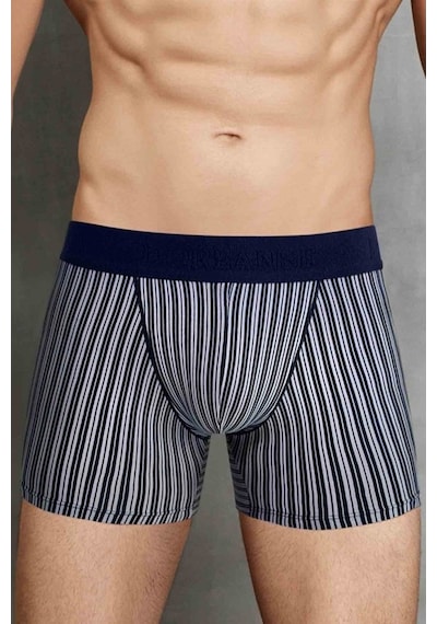 Doreanse Erkek Modal Çizgi Desenli Normal Paça Boxer 1866 (539992304)