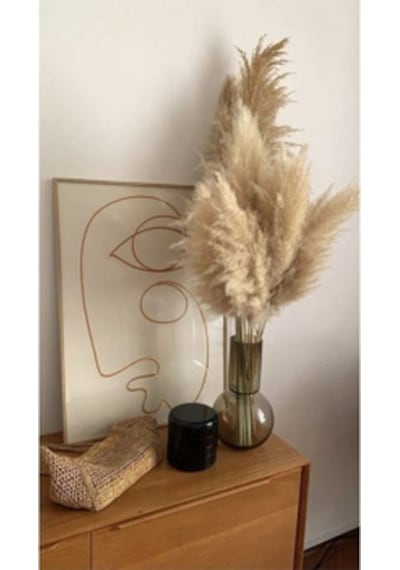 Pampas 10 Adet