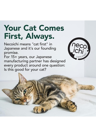 Necoichi Kedi Tırmalama Kulesi, İç Mekan Kedileri İçin, Tersinir Kullanılabilirlik Ve Ekstra Konforlu, Karton Yatak Kanepe / Xl, Meşe