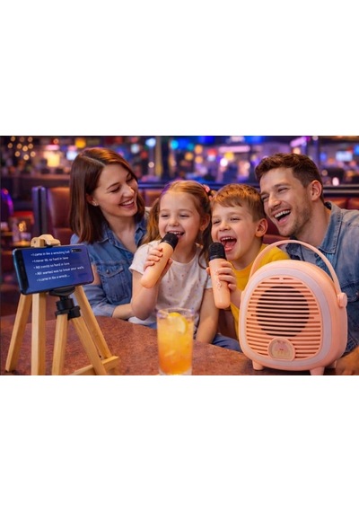 Çocuklara Özel Retro Tasarımlı Bluetooth Karaoke Mikrofon Ve Ahşap Tripodlu Pembe