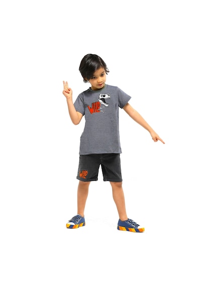 Casabony Wild Dino Gri Denim Şort - T-shirt Takım - Antrasit