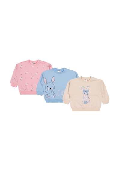 Civil Baby Tavşan Baskılı 3'lü Set 6-18 Ay Sweatshirt - Standart