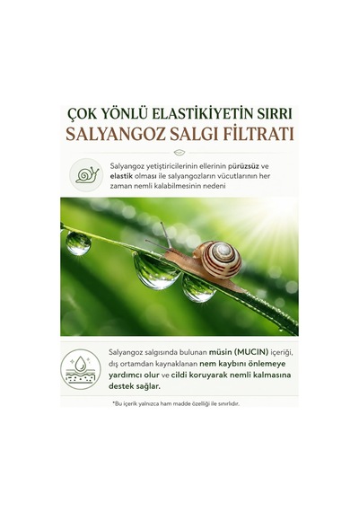 Snail Matrix Cream Salyangoz Özlü Kolajen İçerikli Nemlendirici Krem 79367080