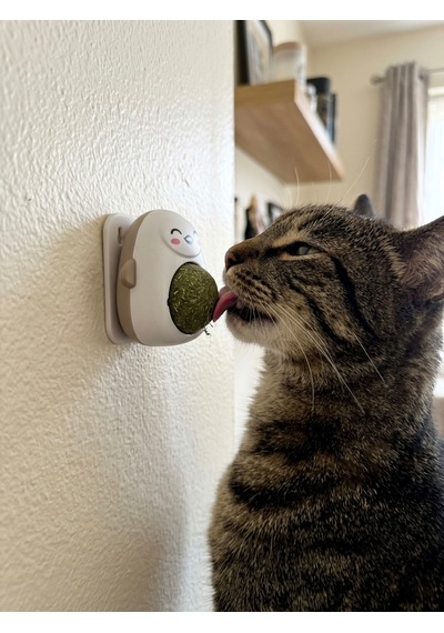 Kahverengi Sevimli Figürlü Dönen Kedi Nanesi Topu - Doğal Catnip Duvara Yapışan Kedi Oyuncağı