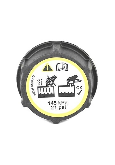 Bsg 30-551-005 Radyatör Yedek Su Depo Kapağı Focus / Fiest