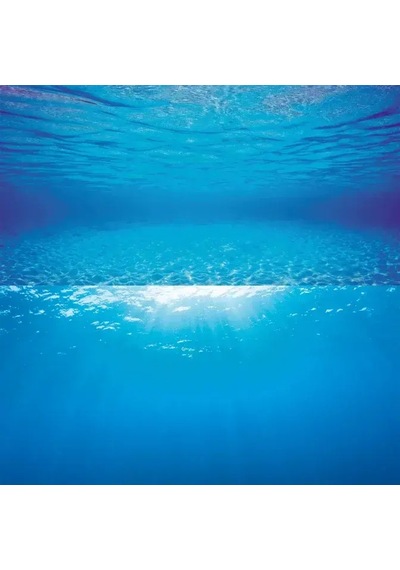 Juwel Poster1 Plant/reef - L Arka Fon 100 X 50 Cm