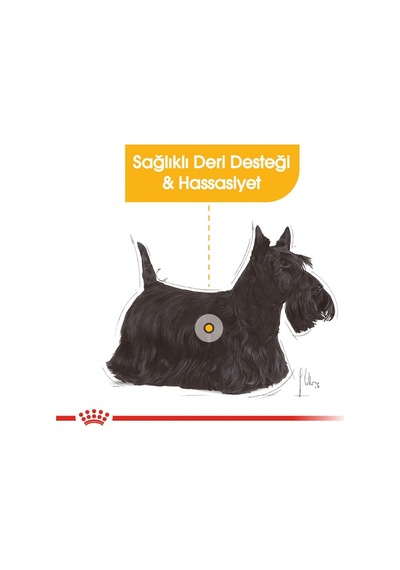 Dermacomfort Loaf Yaş Hassas Köpek Maması 85 G X 12 Adet