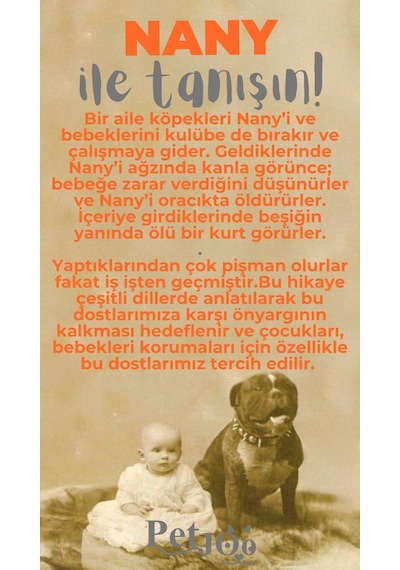 Petjoo 17.Nany Gri-Turuncu Qr'lı Köpek Künyesi