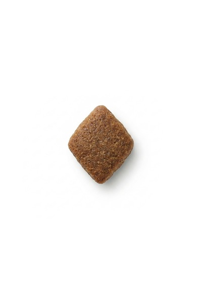 Zampa Plus Premium Somon Etli Küçük Irk Yetişkin Köpek İçin Kuru Mama 2500 G