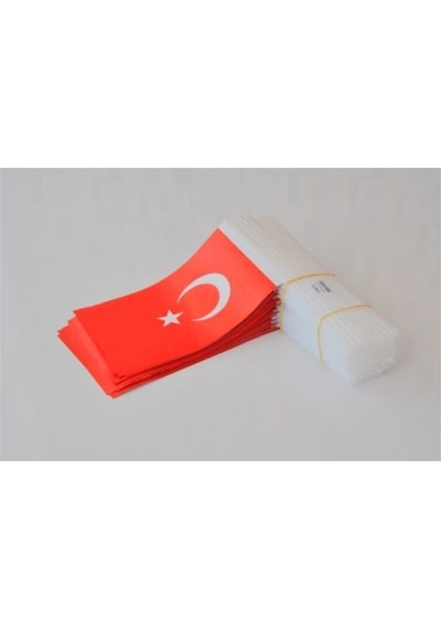 100 Adet Çubuklu Kağıt Türk Bayrağı Çıtalı Sopalı Ayyıldız Baskılı Bayrak