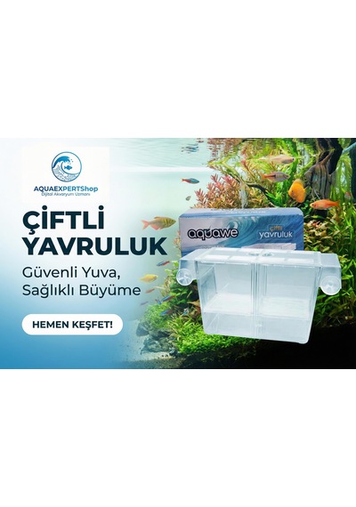 Aquawe Çiftli Yavruluk - Şeffaf Tasarım - 19,5 X 10 Cm - Şeffaf Vantuzlu - Sağlam Yapı - Balıklar İçin Güvenli