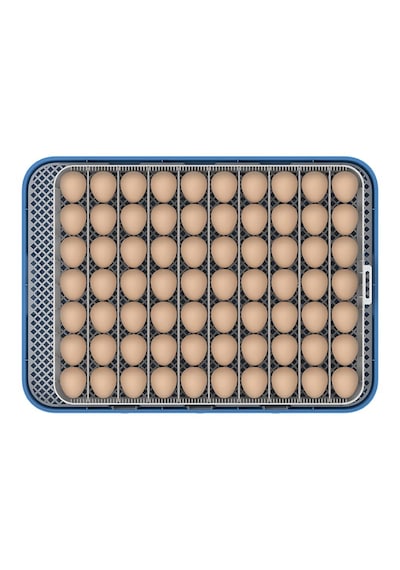 Altın Kuluçka 70 Lik Kuluçka Makinesi