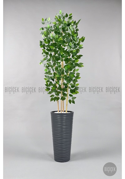 Biçiçek Yapay Benjamin Ağacı 180cm Yoğun Yapraklı Antresit Kumsal Saksıda