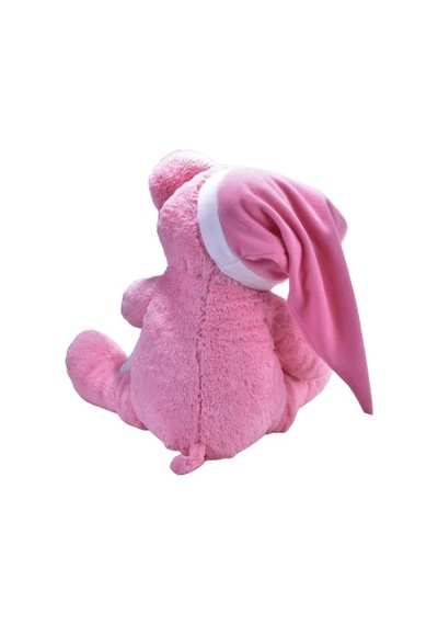 Salaş Uykucu Ayı Pembe 75 Cm