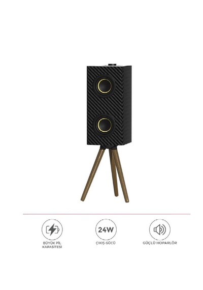 Torima D67 24 W 3000 mAh Kablosuz Taşınabilir Ayaklı Hoparlör