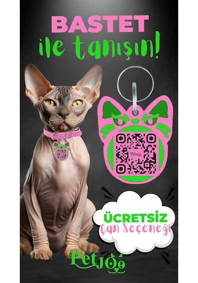 Petjoo 1.Bastet Yeşil-Pembe Qr'lı Kedi Künyesi