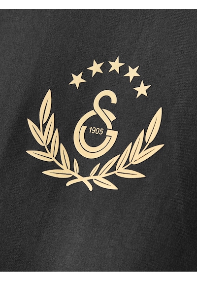 Gsstore Galatasaray Erkek T-shirt E252138 Siyah