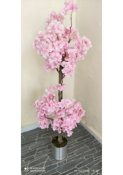 Rüzgar Çiçekcilik 1 Metre Pembe Renk Bahardali Pembe