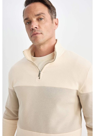 DeFacto Comfort Regular Fit Rahat Kalıp Dik Yaka Fermuarlı Çizgili Kalın Sweatshirt D2401AX24AUER42