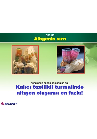 MİRACLE I TORMANYUM TAŞLI KEMER