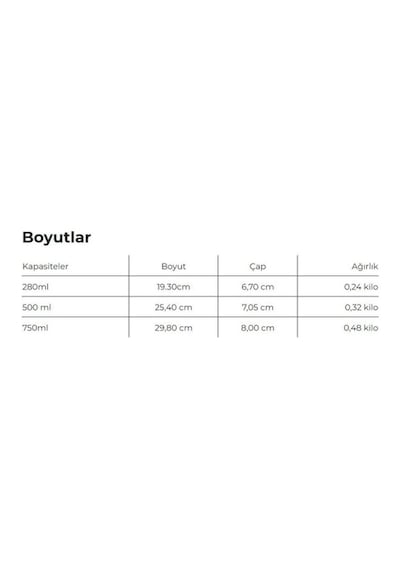 Les Artistes Paris Isı Yalıtımlı Kutu Çelik Termos 280 ML Tiger