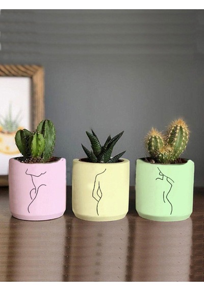 Pastel Renkli Minimalist Kadın Çizimli 3lü Set Kaktüs Ve Sukulent Saksısı Hediyelik Çiçeksiz