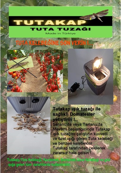 Tuta Kelebeği Işık Tuzağı