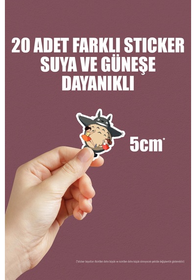 Komşum Totoro My Neighbor Totoro Anime Telefon Laptop Yapışkanlı Folyo Sticker Paketi 20 Adet Çok Renkli