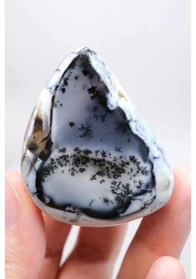 Alkimik Mavi Ve Altın Birleşimi: Cilalı Merlinit Dendritik Opal Numunesi