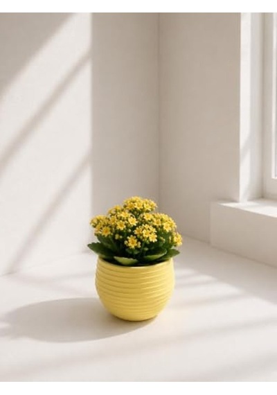 Sarı Renkli Mini Yuvarlak Dekoratif Saksı