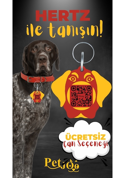 Petjoo 26.Hertz Sarı-Kırmızı Qr'lı Köpek Künyesi