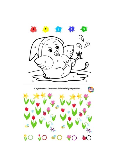 Okul Öncesi Etkinlik Çalışma Kitap Seti 2 Kitap