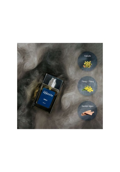 Opposıte Erkek Parfüm Edp 50 Ml Odunsu - Oryantal
