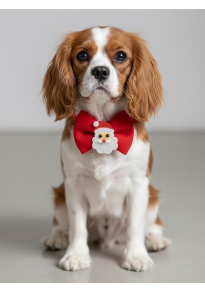 Rudolph Küçük Irk Köpek Papyon Tasması Kırmızı Fiyonk Boyun Aksesuarı Noel Temalı Köpek Süsü