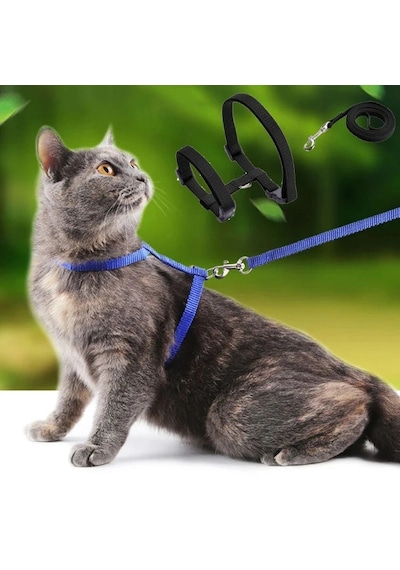 120cm Mavi Kullanıma Uygun Kedi Tasması Diğer