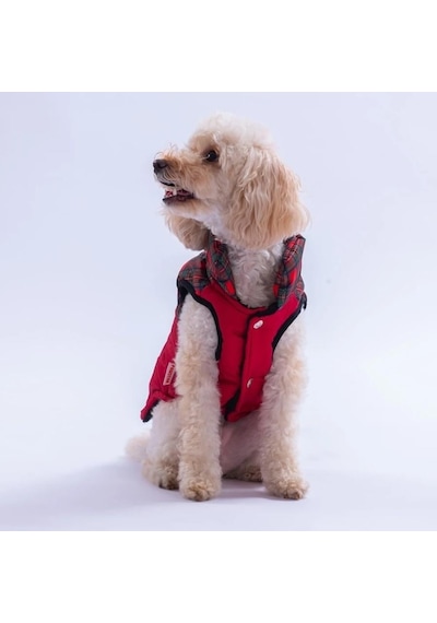 Pawstar Kırmızı Elgin Paws Su İtici Küçük Irk Köpek Puf Yelek Yağmurluk
