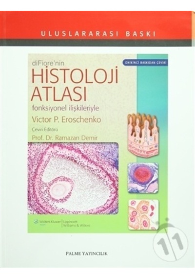 Difiore'Nin Histoloji Atlası Yeni Baskı Palme Yayınevi