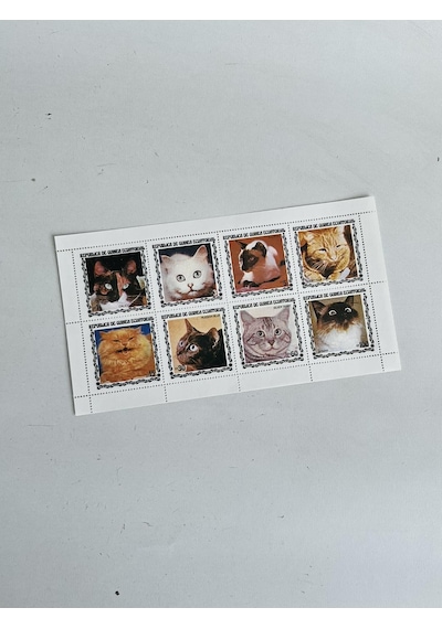 Kedi Temalı Ekvator Ginesi Damgasız 8'li Blok Pul  Teşhir Ürün