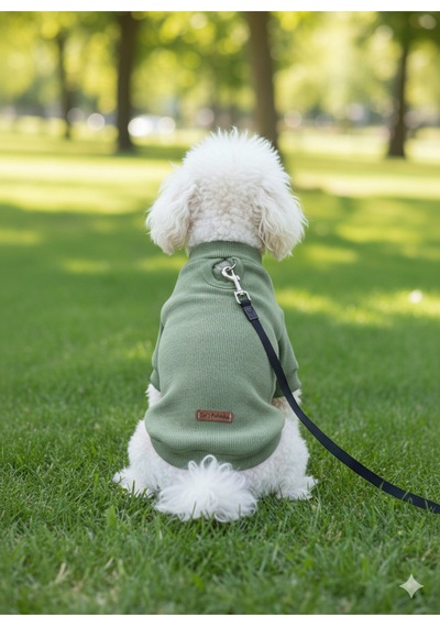 Kedi - Köpek Kaşkorse Esnek Mevsimlik Ceket - Mont - Yağmurluk - Yelek - Kıyafet