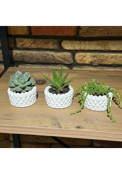 3 Lü Mini Saksı Seti 5 Cm El Yapımı Dekoratif Beton Saksı Küçük Sukulent Saksısı, Masa & Raf Dekoru, Modern Minimal Tasarım Bitki Dahil Değildir