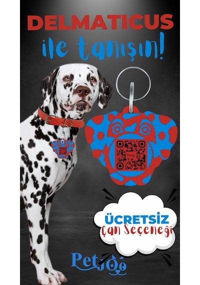 Petjoo 28.Delmaticus Mavi-Kırmızı Qr'lı Köpek Künyesi