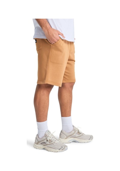 Quiksilver Salt Water Shor Erkek Şort Eqyfb03392-qk.3106 Kahverengi